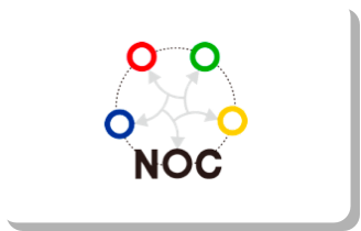 NOC NOC